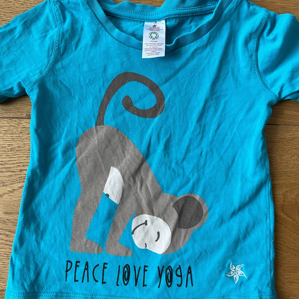Yoga Satva Shirt 2T-